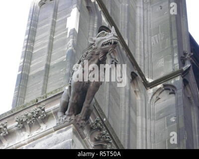 Détail de la cathédrale de Cologne Banque D'Images