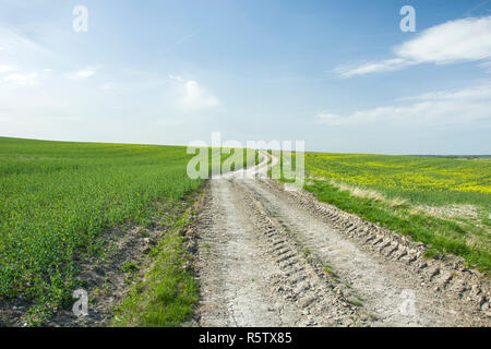 Route jusqu'à travers champs vert-jaune, horizon et les nuages sur ciel bleu Banque D'Images