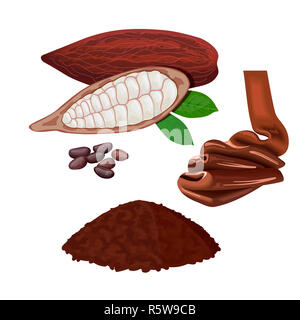 Cacao frais mûrs de fruits. Pod Cacao feuilles et les haricots. Et chocolat en poudre Banque D'Images