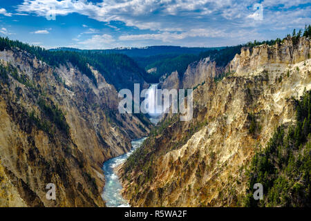 La Lower Falls à Grand Canyon de Yellowstone Banque D'Images