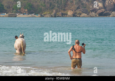 Un touriste de prendre une photo d'un homme lave son cheval dans la mer d'Oman Banque D'Images