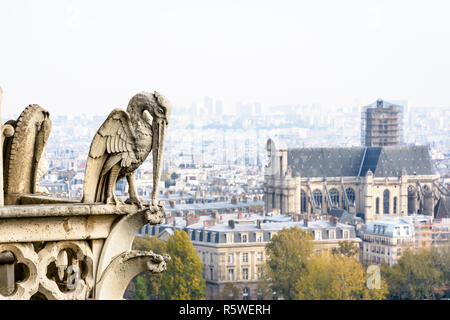 Statue de pierre d'un oiseau chimériques sur les tours galerie de la cathédrale Notre-Dame de Paris avec vue sur la ville, avec l'église de Saint-Gervais, vanis Banque D'Images