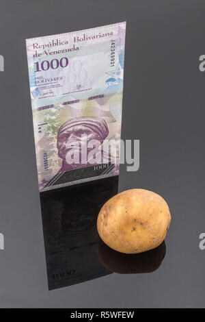 L'hyperinflation concept - bolivar vénézuélien Fuerte (type) avec un aliment (pomme de terre) - métaphore la spirale de l'inflation au Venezuela et de l'argent sans valeur. Banque D'Images