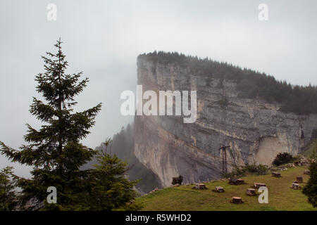 Vue sur un gros rocher au sommet d'une montagne, d'arbres et d'une nature magnifique dans le brouillard. L'image est capturée à Trabzon/domaine de la région de la Mer noire située à Banque D'Images