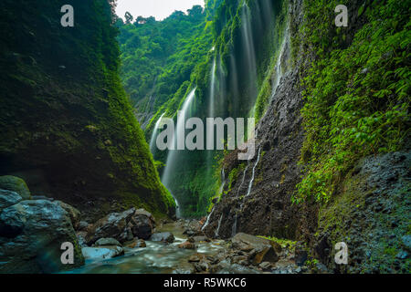 Madakaripura Cascade, l'Est de Java, Indonésie Banque D'Images