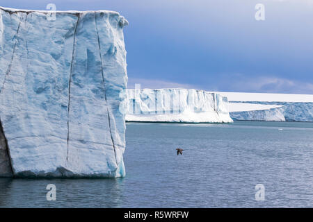 Mer et Glacier, Negribreen, côte est du Spitzberg, une île de l'archipel du Svalbard, Norvège. Banque D'Images