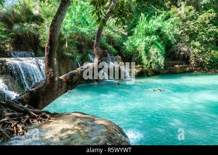 Les jeunes nagent dans l'une des piscines d'azur au chutes de Kuang Si (Tat Cascades de Kuang Si) au sud de Luang Prabang, Laos, République Banque D'Images