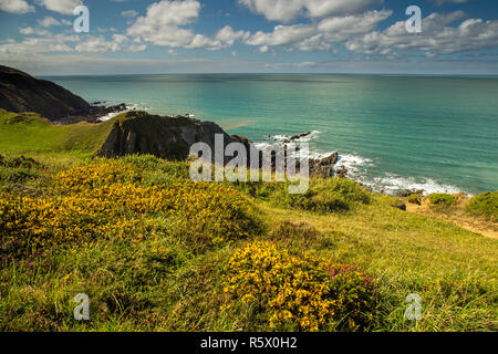 Belle et robuste à la côte nord du Devon Hartland Quay le long de la south west coast path Banque D'Images