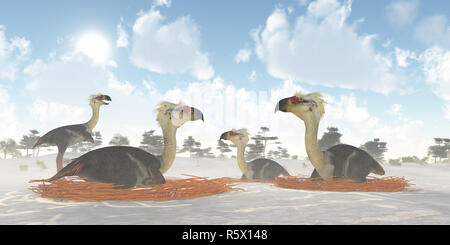 Nids d'oiseaux Phorusrhacos