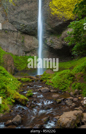 Latourell Falls dans la Columbia River Gorge, Oregon, USA Banque D'Images