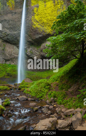 Latourell Falls dans la Columbia River Gorge, Oregon, USA Banque D'Images