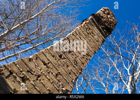Une cheminée cheminée d'une maison en ruine à Fish Creek pioneer, Calgary, Alberta, Canada Banque D'Images