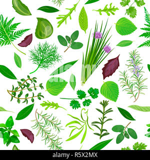 Herbes de cuisine motif transparent vector set Banque D'Images