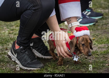 Londres, Royaume-Uni. 2 décembre 2018. Exécution annuelle du père dans le parc Victoria. Crédit : Guy Josse/Alamy Live News Banque D'Images