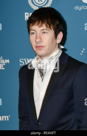 Londres, Royaume-Uni. 2 décembre 2018. Barry Keoghan Arrivers à la 21e British Independent Film Awards à 1 Vieille Billingsgate à pied le 21 décembre 2018, Londres, Royaume-Uni. Credit Photo : Alamy/Capital Live News Banque D'Images