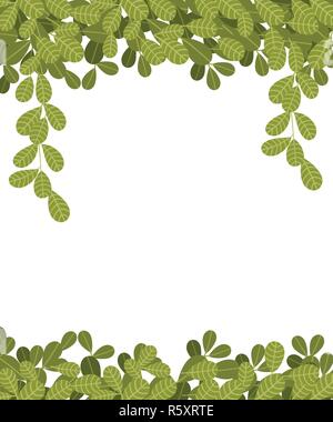 La pendaison de plantes grimpantes avec des feuilles vertes. Feuilles plates pendant vers le bas. Motif floral. Vector illustration sur fond blanc. Illustration de Vecteur