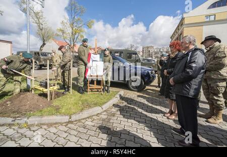 Un Mundurowej Centrum Edukacji plantes étudiant un chêne au cours d'une cérémonie en l'honneur Henryk Bartoszewicz, un officier de cavalerie polonaise assassinés durant le massacre de Katyn en 1940. L'académie militaire local à Elk, Pologne, a invité le groupe de combat du lieutenant-colonel commandant Pologne Steven Gventer (à droite) et ses soldats pour afficher leur équipement de combat et de petit calibre ainsi que l'armée polonaise, la 15ème Brigade Mécanisée de l'exposition statique lors de sa journée portes ouvertes annuelle le 22 avril. Banque D'Images