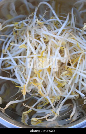 Close up of fresh haricots mungo dans bol en acier inoxydable sur fond de bois Banque D'Images