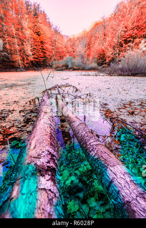 Automne couleur de l étang à Yedigoller Nature Park situé à Bolu, Turquie.belles feuilles colorées d'automne arbres se reflétant dans l'eau autour de l'étang. Banque D'Images