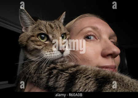 Un patient cat met en place avec ses propriétaires obsession avec elle que le propriétaire détient et exerce une pression sur elle. Le chat a l'air ennuyé. Banque D'Images