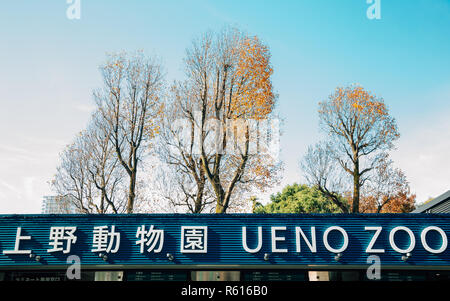 Tokyo, Japon - 21 novembre 2018 : Zoo de Ueno à l'automne Banque D'Images