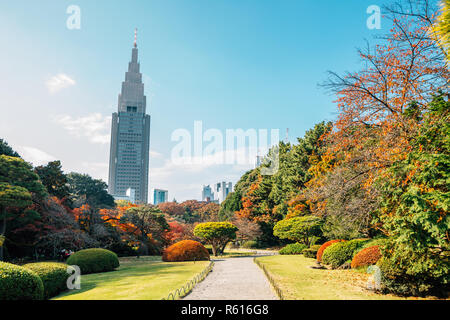 Le parc Shinjuku Gyoen park à l'automne à Tokyo, Japon Banque D'Images