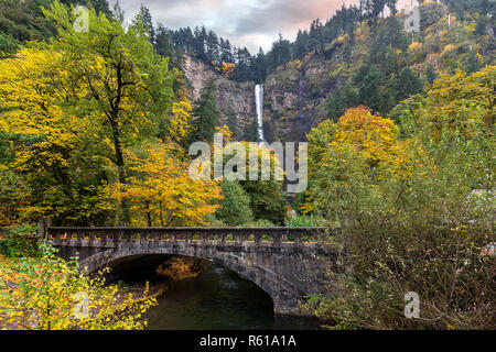 Chutes de Multnomah le long de Old Columbia Highway Banque D'Images