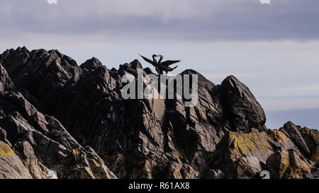 Couple de Grands Cormorans montrant le comportement d'accouplement à côté nichent sur la falaise Banque D'Images