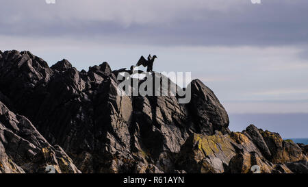 Couple de Grands Cormorans montrant le comportement d'accouplement à côté nichent sur la falaise Banque D'Images