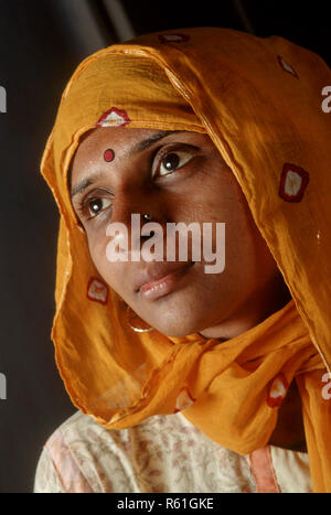 Les femmes indiennes tête couverte épouse d'Anil photographe Dave M.# 767 Banque D'Images