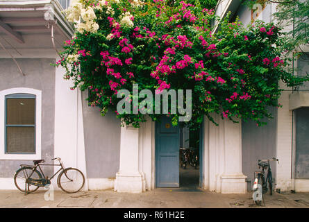 Les vélos garés en face de la principale porte d'entrée de la vieille maison à Pondichéry inde territoire de l'Union européenne Banque D'Images