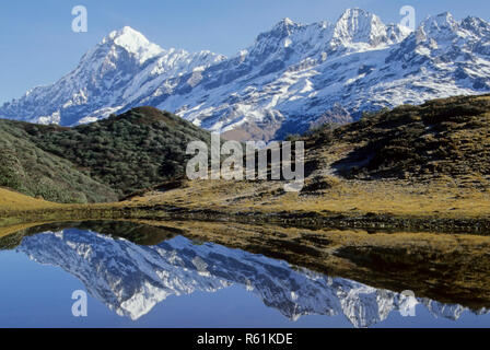 Paudiur la montagne, Sikkim, Inde Banque D'Images