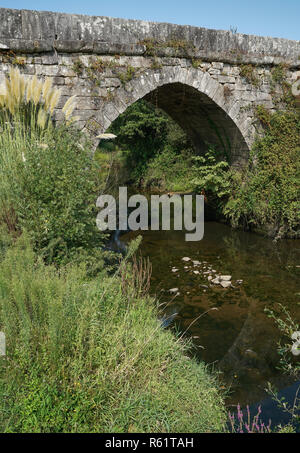 Tui, Camino de Santiago, Spanien Banque D'Images