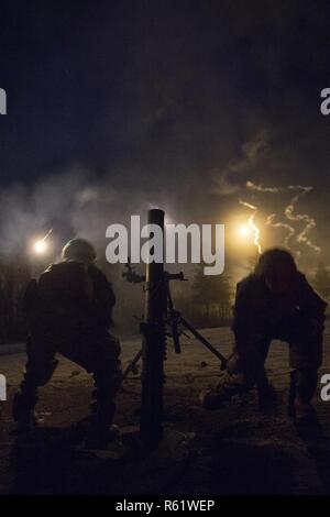 Fantassins de tir indirect de l'armée affectés à la société Apache, 1er Bataillon, 501e parachute Infantry Regiment d'infanterie, 4e Brigade Combat Team (Airborne), 25e Division d'infanterie de l'armée américaine, l'Alaska, récupérer après avoir tiré le M121 120 mm Système de mortier au cours de l'entraînement au tir réel à Joint Base Elmendorf-Richardson, Alaska, 19 novembre 2018. Au cours de l'entraînement au tir réel les parachutistes perfectionné leurs compétences d'armes ont servi d'équipage en menant des missions de tir de nuit en utilisant le M252 et M121 de 81 mm 120 mm systèmes de mortier. Banque D'Images