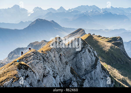 Arrivés au sommet, grimpeur en haut de l'Hengst, Schrattenfluh, Suisse Banque D'Images