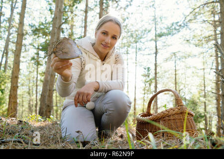 Femme, cueillette de champignons dans la forêt Banque D'Images