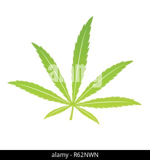 Feuille de cannabis vert isoladet sur fond blanc vector illustration EPS10 Illustration de Vecteur