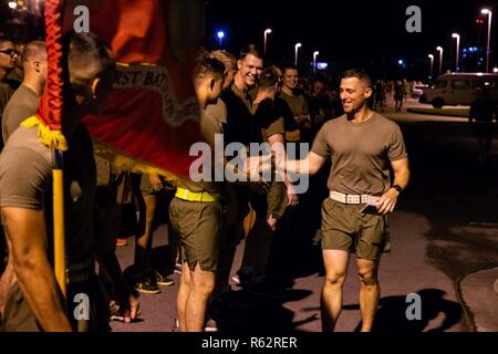 Le lieutenant-colonel Chris Tolliver, commandant du 1er Bataillon, 4ème Marines, serre la main avec une aire marine devant un "Thanksgiving Turkey Trot" exécuté au camp Hansen, Okinawa, Japon, le 22 novembre 2018. BLT 1/4 récemment arrivés d'accueil leur Base du Corps des Marines à Camp Pendleton, en Californie, et est actuellement l'élément de combat terrestre pour la 31e Marine Expeditionary Unit. Tolliver est un résident de Winter Park, Floride, et diplômé de l'Université de Floride Centrale. La 31e MEU, le Marine Corps' seulement continuellement de l'avant-déployés MEU, fournit une force flexible prêt à effectuer un vaste rang Banque D'Images