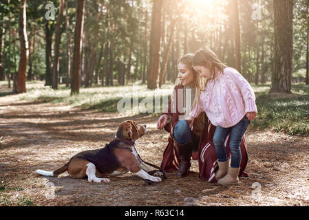Mère et fille avec chien randonnées en forêt de pins. Femme porte un élégant manteau en tricot, fille est en pull rose Banque D'Images