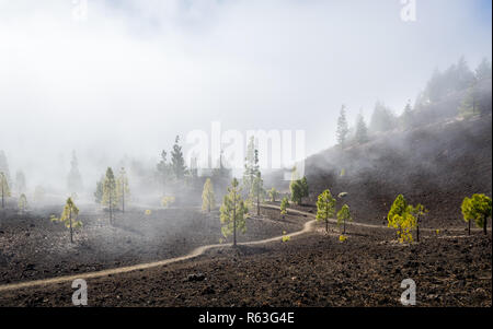 Des sentiers de randonnée de montagne de Samara dans le brouillard Banque D'Images