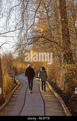 L'homme et de la femme par derrière marchant le long d'une promenade sur un sentier forestier en novembre, Deer Lake Park, Burnaby, Vancouver, Colombie-Britannique, Canada Banque D'Images