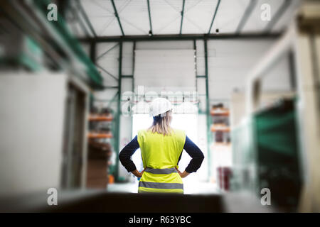 Une vue arrière d'un ingénieur industriel femme debout dans une usine, les bras sur les hanches. Banque D'Images
