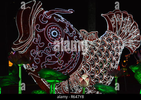 L'Assemblée Caroline du Chinese Lantern Festival tenu dans la ville de Cary, une banlieue de Raleigh. Banque D'Images