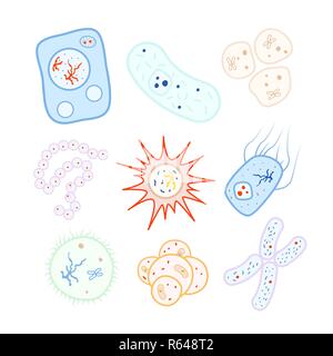 Large gamme de couleurs vives et des cellules biologie, bactéries et virus icônes on white Illustration de Vecteur