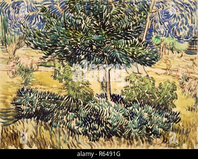 Arbre et arbustes dans le jardin de l'asile. Date : mai-juin 1889, Aix-en-Provence. Dimensions : 46,9 cm x 61,9 cm. Musée : Musée Van Gogh, Amsterdam. Banque D'Images