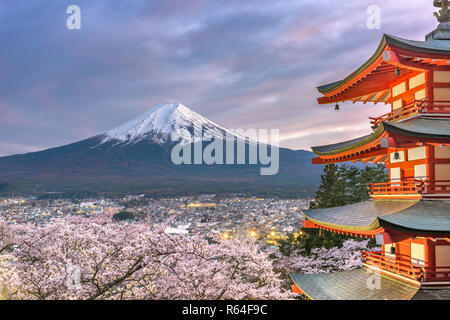 Fujiyoshida, Japon vue de Mt. Fuji et pagode dans la saison du printemps avec les cerisiers en fleurs au crépuscule. Banque D'Images