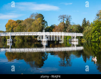 Tôt le matin, Tamise, Bridge, près de Whitchurch-on-Thames, Pangbourne, Reading, Berkshire, pensionnaire de l'Oxfordshire, Angleterre, RU, FR Banque D'Images