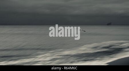 Grand écran panoramique tourné d'une mouette planeur seul juste au-dessus de la flottaison sur la côte de la mer du Nord, Angleterre, Royaume-Uni. Banque D'Images