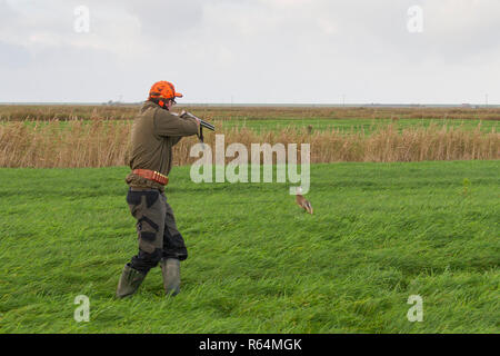 Hunter avec la carabine fuyant le lièvre brun (Lepus europaeus) dans les Prairies au cours de la saison de chasse à l'automne Banque D'Images