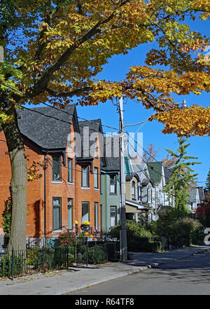 Rue résidentielle bordée d'arbres avec la couleur de l'automne sur l'érable d'or Banque D'Images